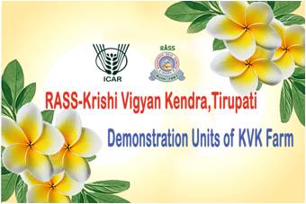 Impact of NICRA Activities